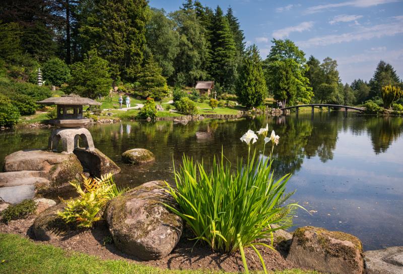 The Japanese Garden at Cowden | Talk-Walk-Talk